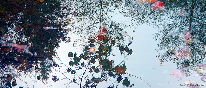 Foto: © Hilke Pantel