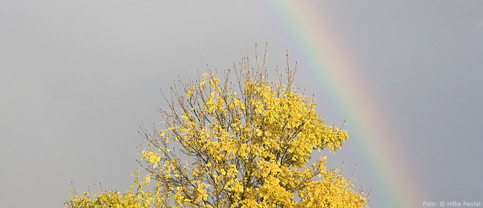 Foto: © Hilke Pantel