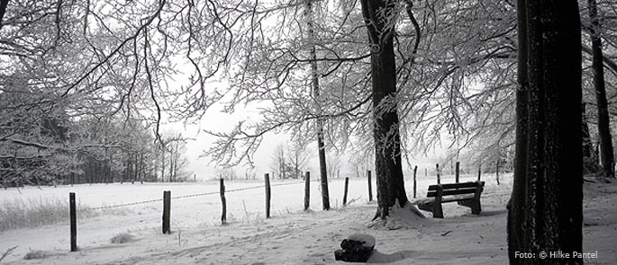 Foto: © Hilke Pantel