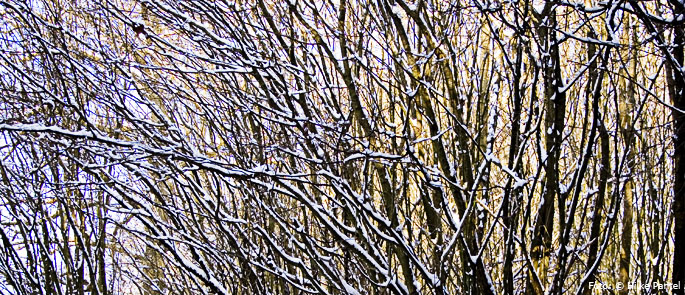 Foto: © Hilke Pantel