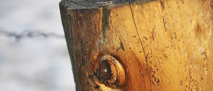 Foto: © Hilke Pantel